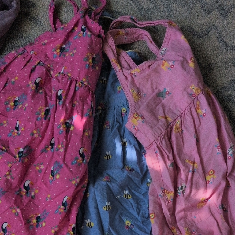 Pink and Blue Kids' Dresses with Animal Print